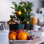 City Center Rooms Piotrkowska 91