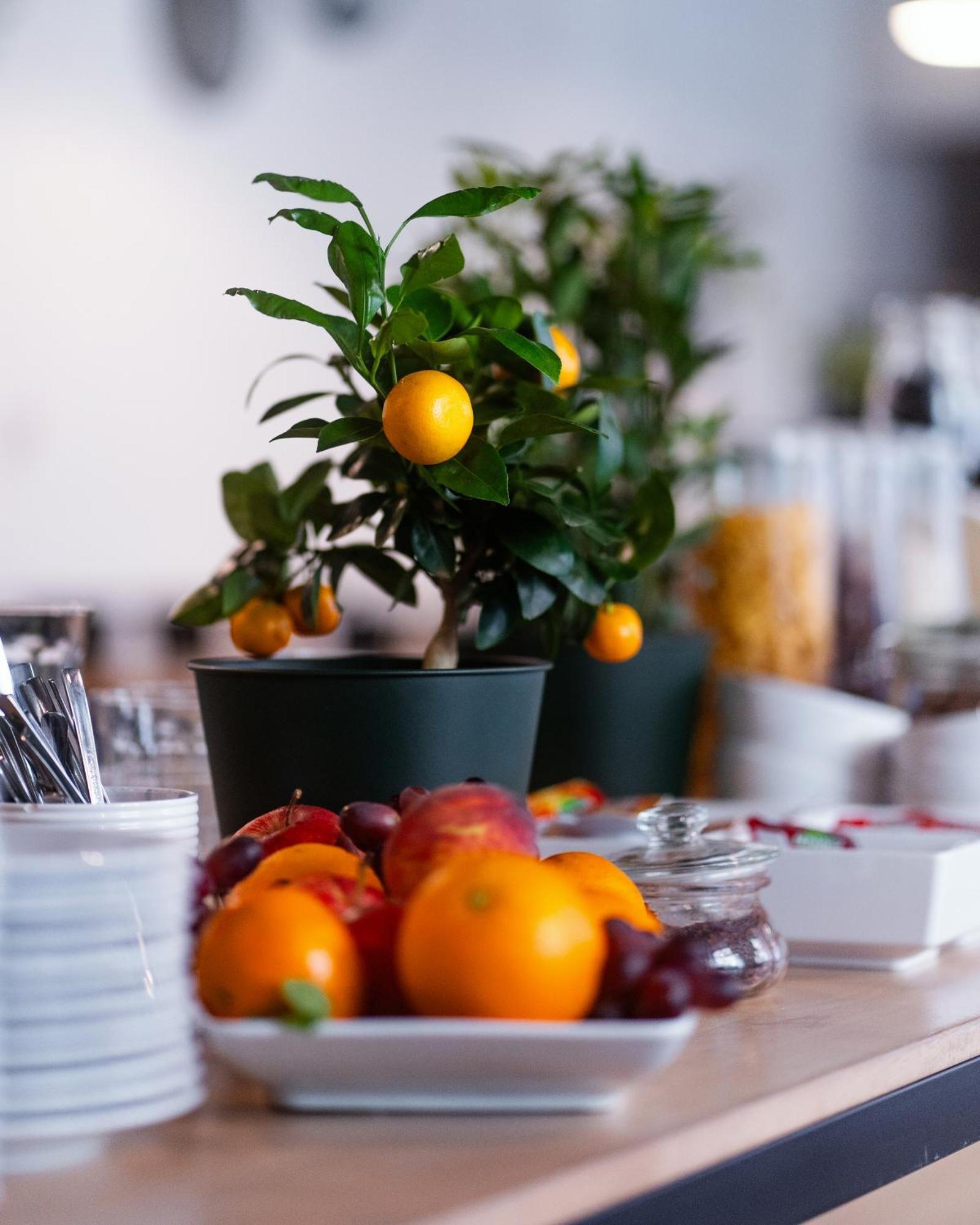 Aparthotel City Center Rooms Piotrkowska 91